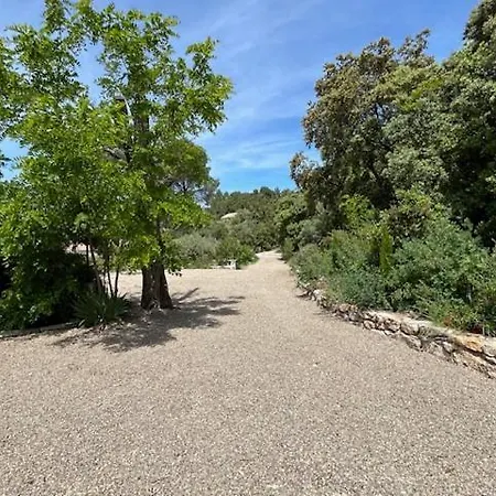 Les Olicias Villa Flayosc